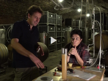 wir.hier.Dehääm: Weinlese auf einem Weingut in Neustadt an der Weinstraße